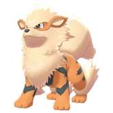 Buy Arcanine in Brilliant Diamond & Shining Pearl